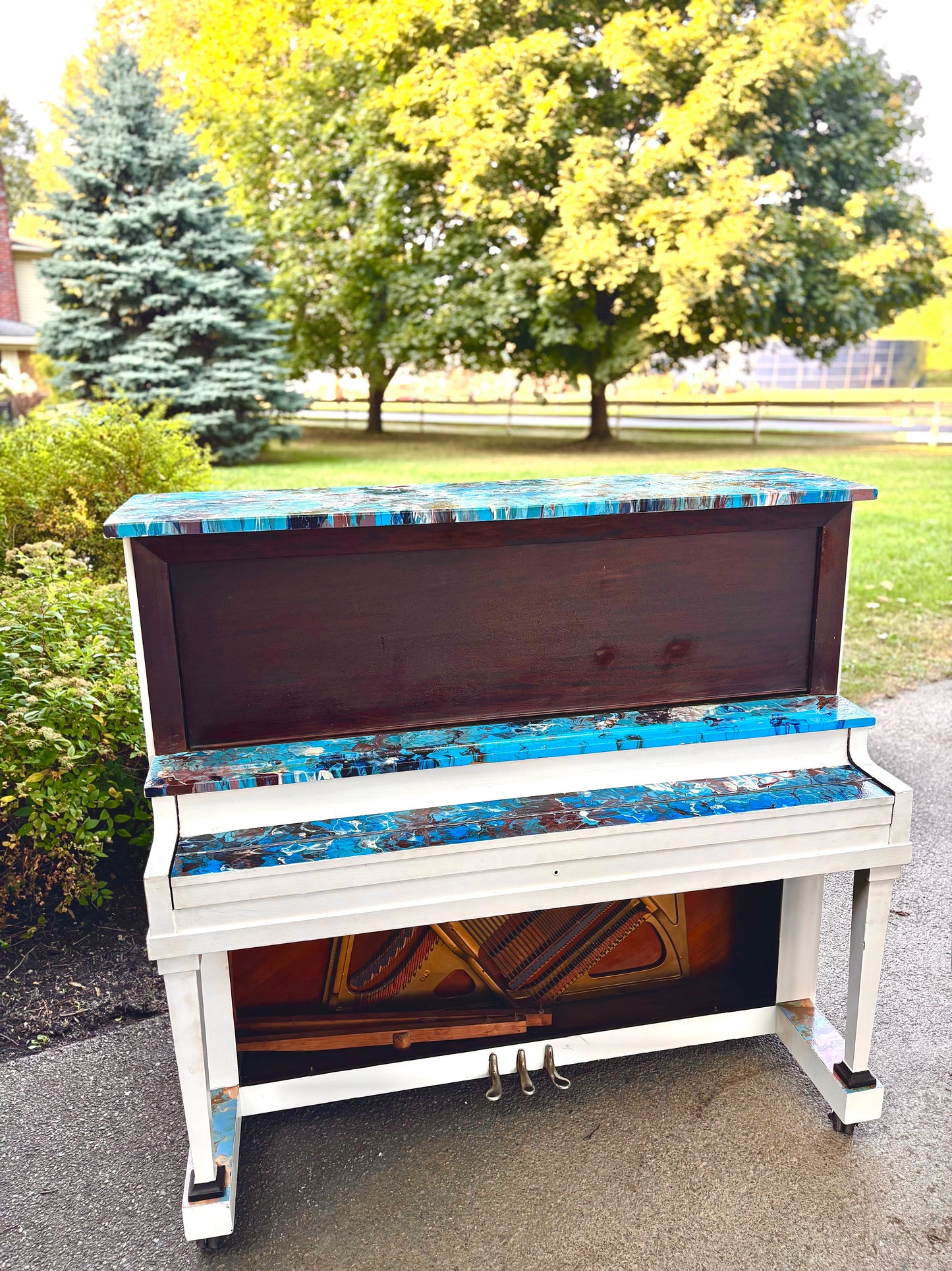 To Be Robbed of Sight & Sword